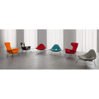 Full collection of Next chairs by Il Loft