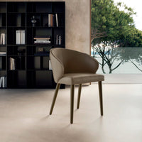 Ray Dining Chair