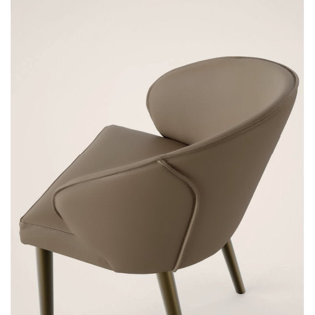 Ray Dining Chair – italydesign